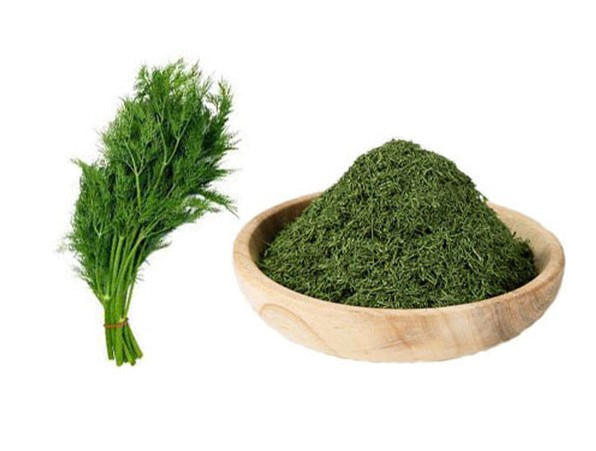 شوید خشک درجه یک مناسب آشپزی و صنایع غذایی